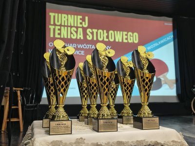 Turniej Tenisa Stołowego 2026